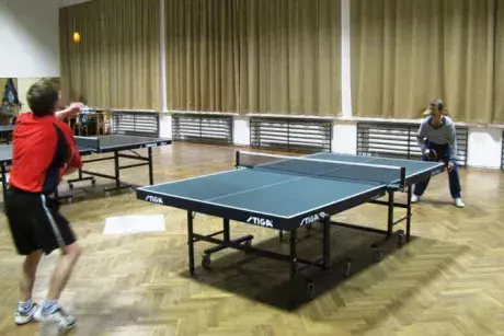 Stolní tenis