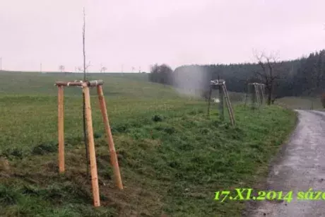 Listopadové události 2014