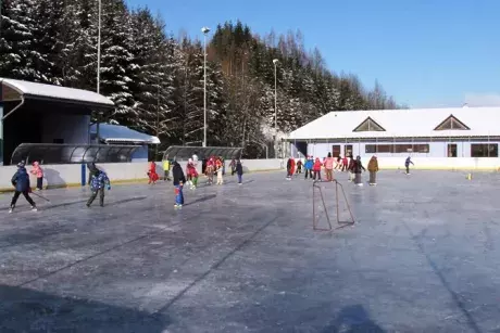 Bruslení dětí ze ZŠ Nekoř 6.2.2015