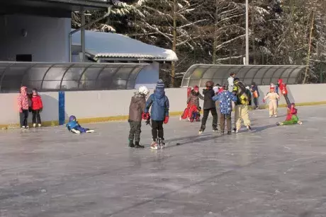 Bruslení dětí ze ZŠ Nekoř 6.2.2015