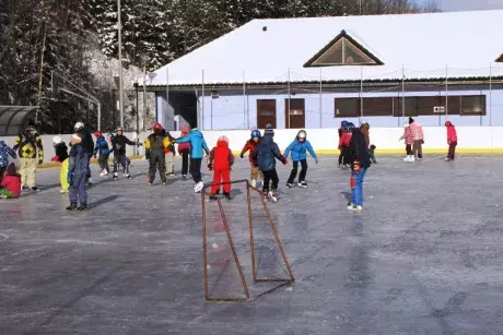 Bruslení dětí ze ZŠ Nekoř 6.2.2015
