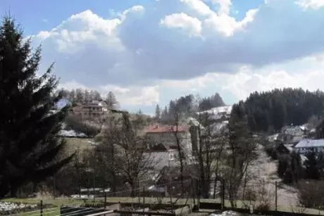 Březnová Nekoř 2015