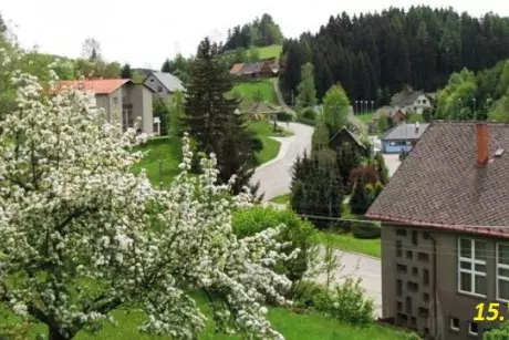 Květnové a červnové proměny Nekoře