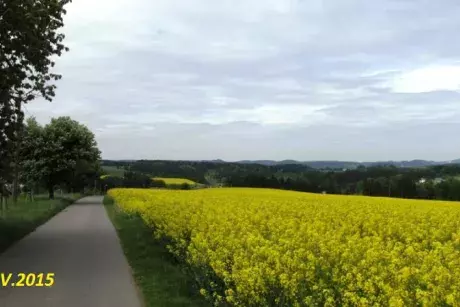 Květnové a červnové proměny Nekoře