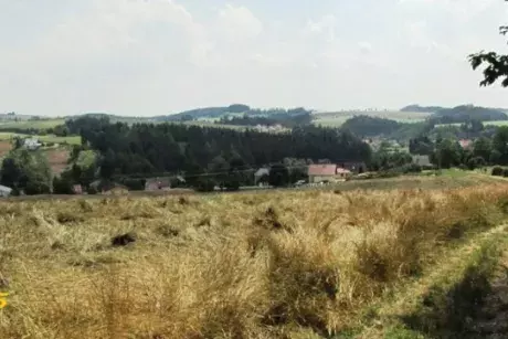 Červnové a červencové události