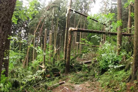 Následky noční bouře 8.7.5015