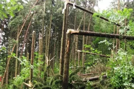 Červnové a červencové události