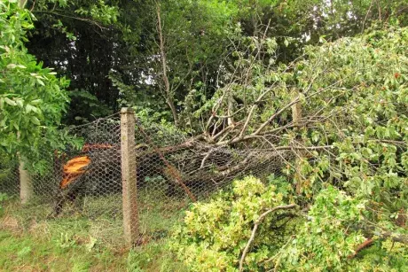 Následky noční bouře 8.7.5015