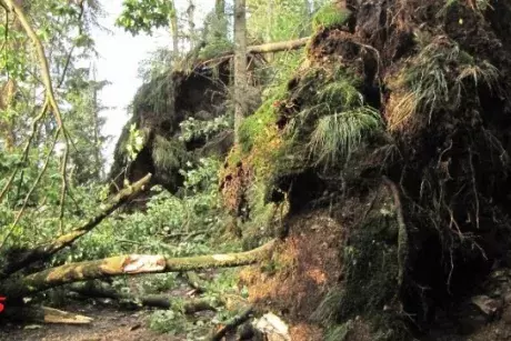 Červnové a červencové události