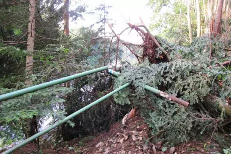 Následky noční bouře 8.7.5015