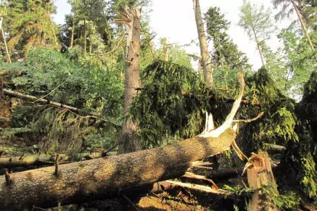 Následky noční bouře 8.7.5015