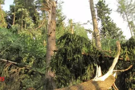 Červnové a červencové události