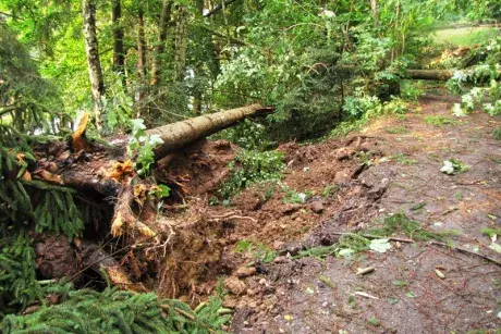 Následky noční bouře 8.7.5015