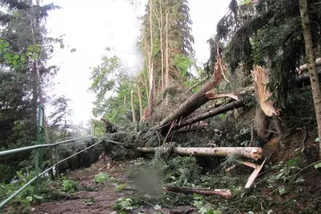 Následky noční bouře 8.7.5015