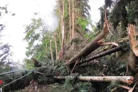 Červnové a červencové události