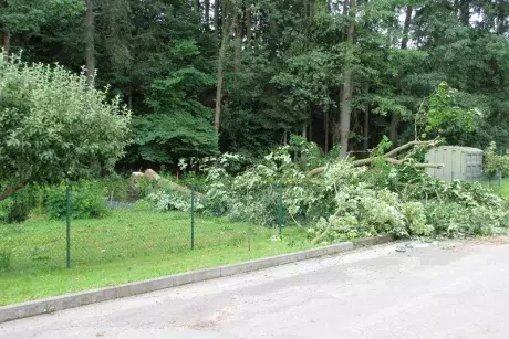 Následky noční bouře 8.7.5015