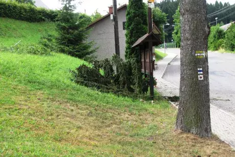 Následky noční bouře 8.7.5015