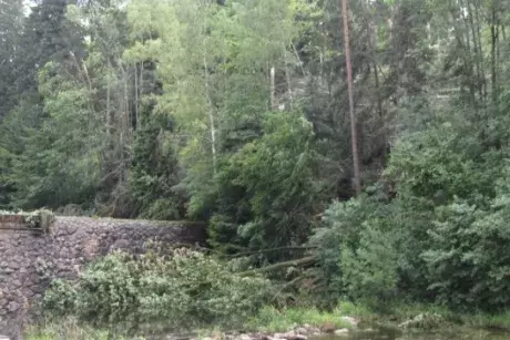 Červnové a červencové události