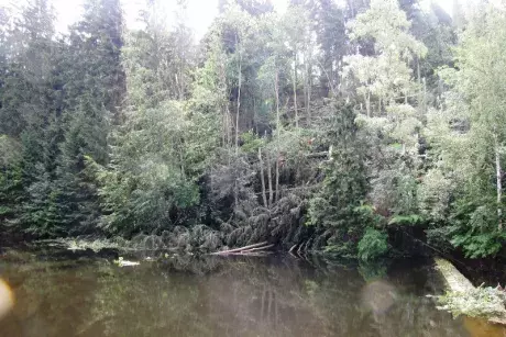 Následky noční bouře 8.7.5015