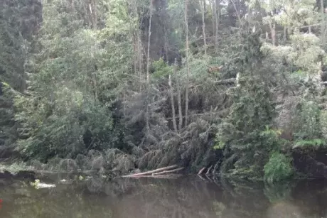 Červnové a červencové události