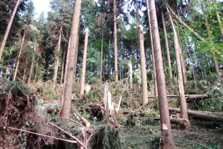 Následky noční bouře 8.7.5015