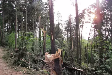 Následky noční bouře 8.7.5015