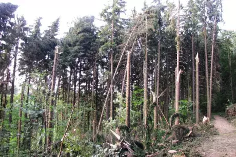 Následky noční bouře 8.7.5015