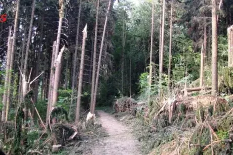 Červnové a červencové události