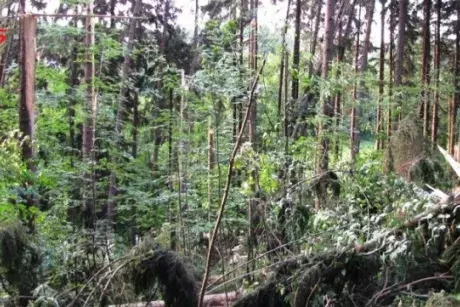 Červnové a červencové události