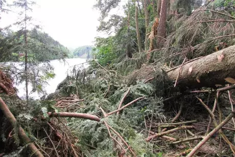 Následky noční bouře 8.7.5015