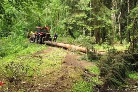 Červnové a červencové události