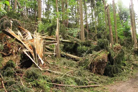 Odstraňování následků noční bouře z 8.7.2015