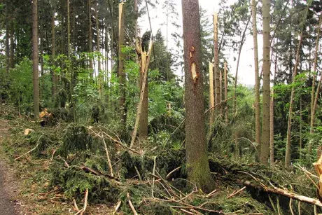 Odstraňování následků noční bouře z 8.7.2015