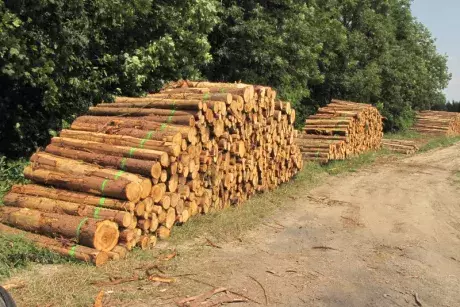 Odstraňování následků noční bouře z 8.7.2015