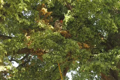 Odstraňování následků noční bouře z 8.7.2015