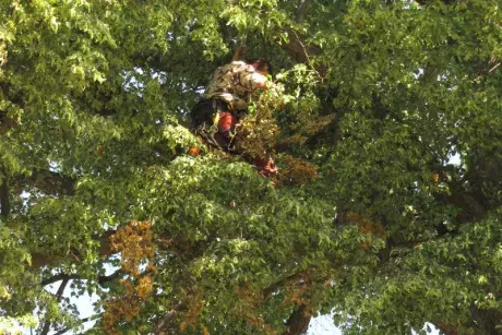 Odstraňování následků noční bouře z 8.7.2015