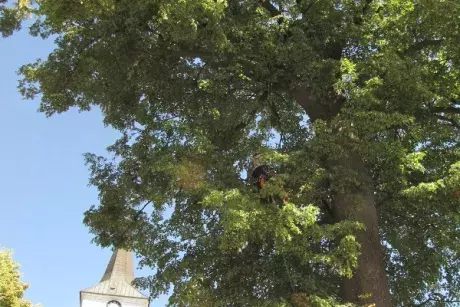 Odstraňování následků noční bouře z 8.7.2015