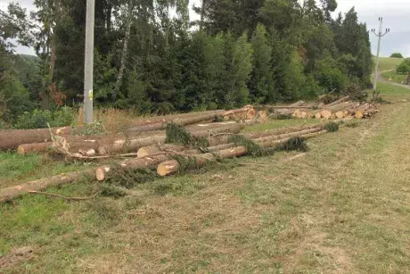 Odstraňování následků noční bouře z 8.7.2015