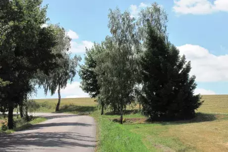 Následky noční bouře 8.7.5015