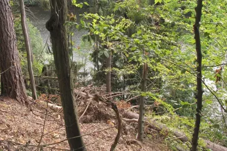 Následky noční bouře 8.7.5015