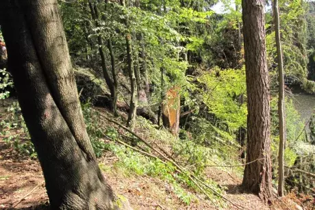 Následky noční bouře 8.7.5015