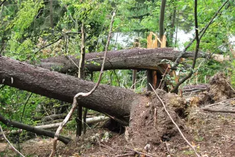 Následky noční bouře 8.7.5015