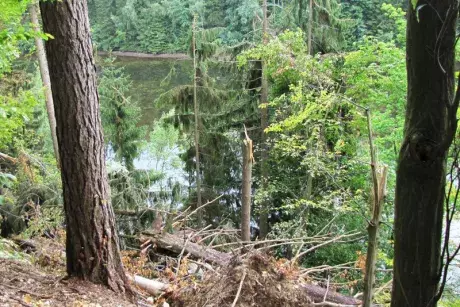 Odstraňování následků noční bouře z 8.7.2015