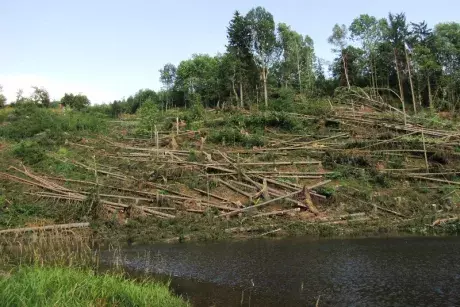 Následky noční bouře 8.7.5015