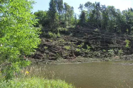 Odstraňování následků noční bouře z 8.7.2015