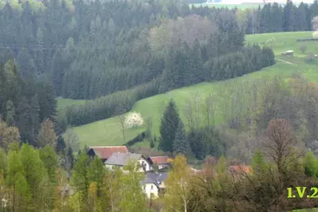 Panoramatické pohledy na Nekoř