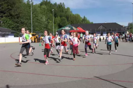 Nekořský kros 22.5.2016