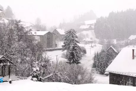 Sníh - zima 2016-2017