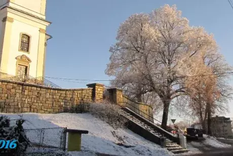 Sníh - zima 2016-2017