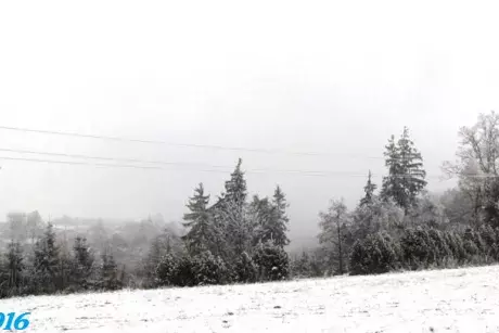 Sníh - zima 2016-2017